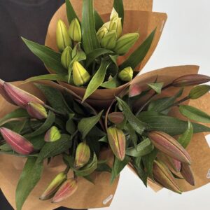 White Oriental Lillies