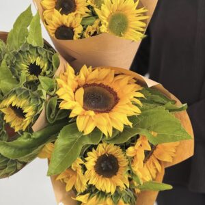 Sunflowers