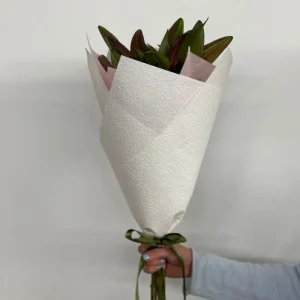 Pink Oriental Lillies