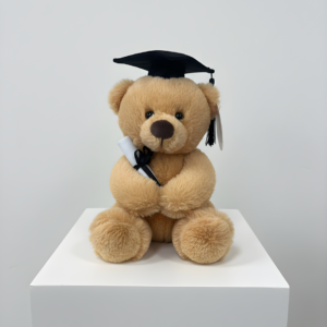 Graduation Teddy Bear
