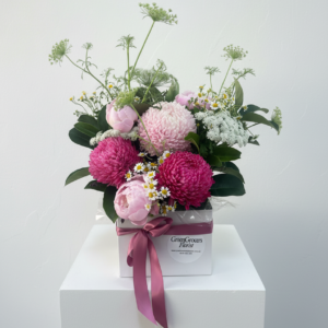 The Rosalie Box